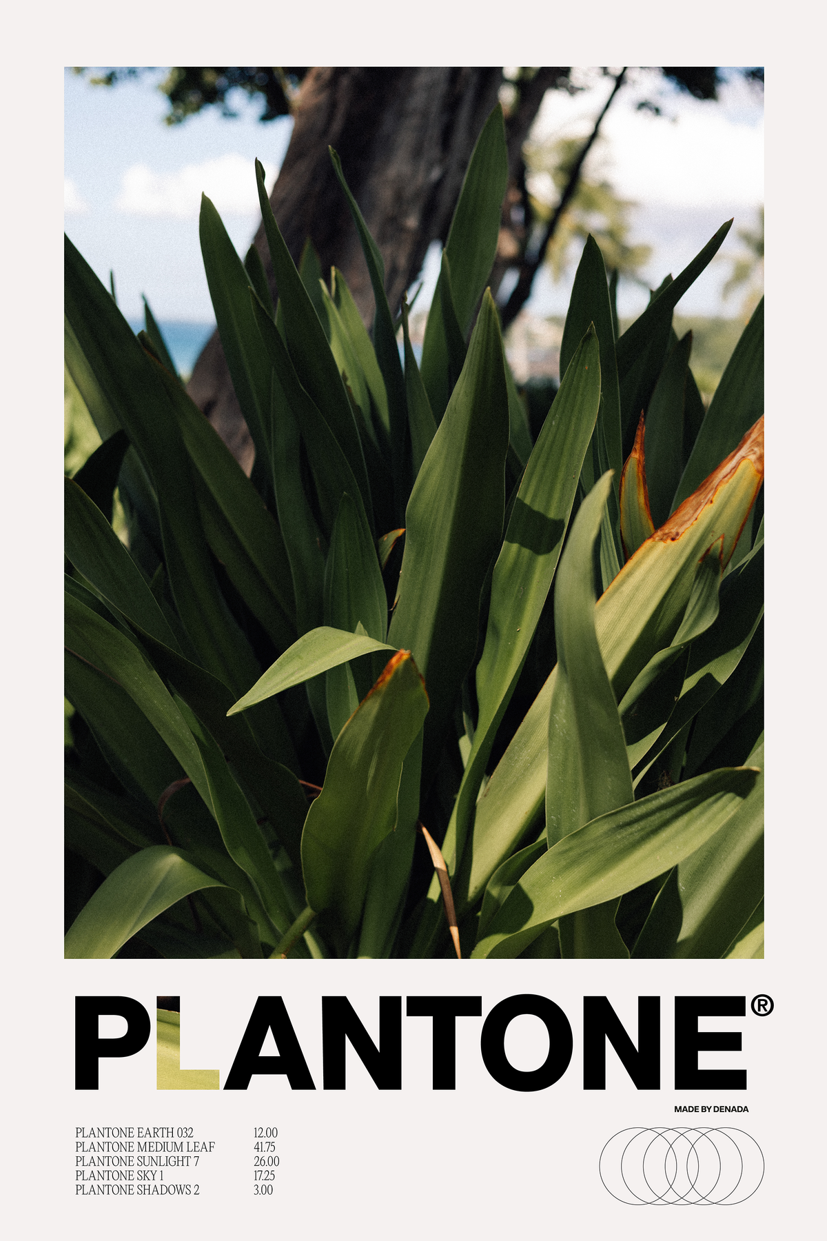 Plantone Hawaii Species